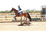 SBM_003837