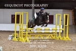 BPP_8308