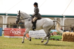 SBM_14675
