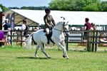 SBM_17476