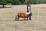 WJ6_4414