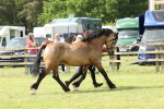 SBM_02289