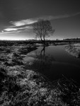 Leighton Moss 01