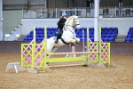 SBM_000437