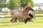 SBM_00396