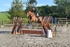 BPP_8703