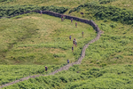 Wasdale-184