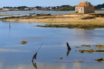 Island cottage