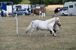 WJ6_6909