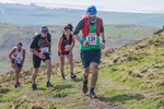 Black Combe-337