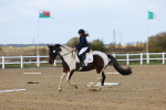 SBM_002237