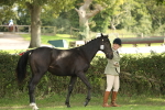 SBM_65576