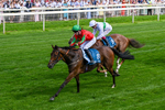 270626-Race 5-My Ballyquinn-0338