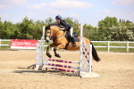 SBM_000509
