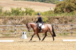 SBM_001816