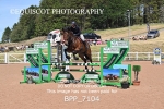 BPP_7104