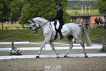 313-LOUISBOURG_C-Jack_Whiteford-WEDTrotUp+DR portfolio