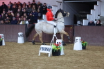 SBM_003273