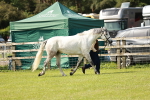 SBM_01661