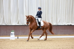 SBM_001012