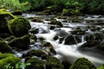 Rydal Waterfall - Lake District - Cumbria