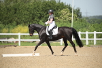 SBM_008830