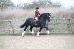 SBM_006329