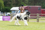 SBM_17357