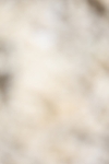 20260802-0760