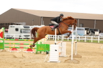 SBM_009913