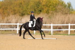 SBM_009378