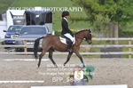BPP_5808