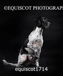 equiscot1714