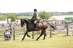 Class 78 - LIHS BSHA Open Racehorse & Show Horse portfolio