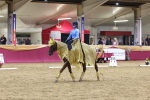 SBM_10231
