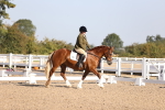 SBM_01661