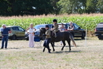 WJ6_7976