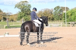 BPP_9540