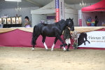SBM_06621