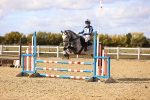 SBM_002338