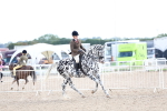 SBM_17244