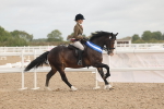 SBM_02036