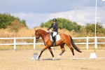 SBM_004080