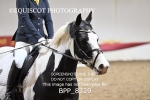 BPP_8329