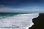 NZ008: Birding Sands