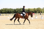 SBM_003373