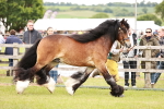 SBM_06016