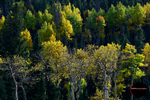_DSC0686