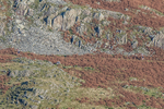 Dunnerdale-2