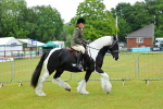 SBM_00892